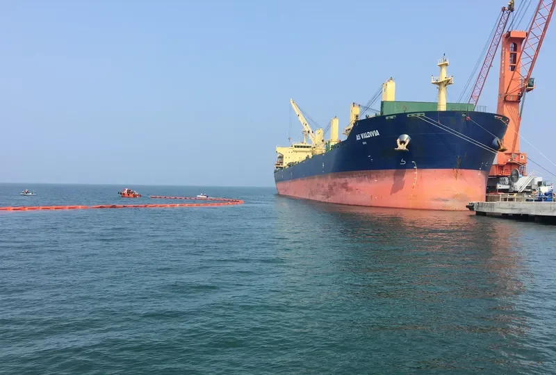 JY VALDIVIA Bulk Carrier IMO 9453250 photo 5