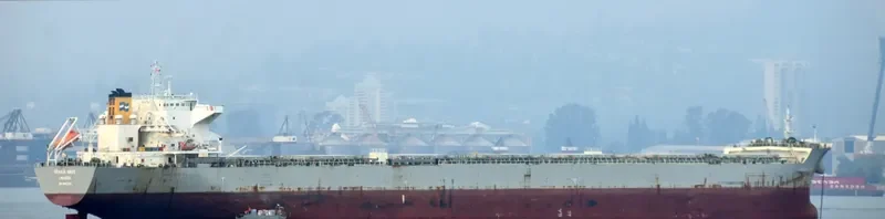 SFAKIA WAVE Bulk Carrier IMO 9453391 photo 6