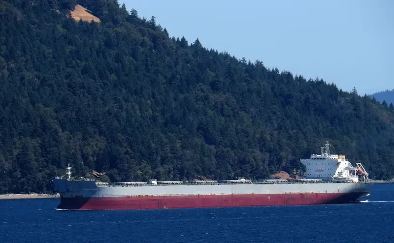 SFAKIA WAVE Bulk Carrier IMO 9453391 photo 7