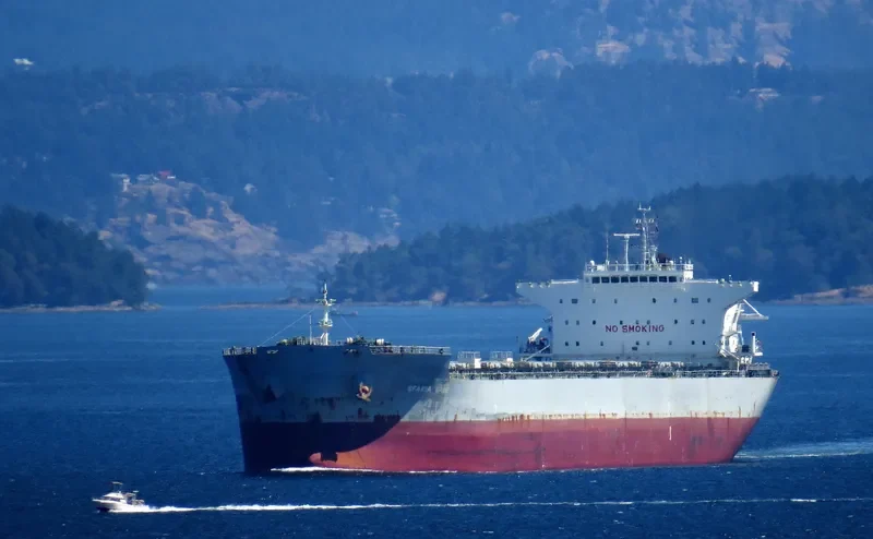SFAKIA WAVE Bulk Carrier IMO 9453391 photo 8
