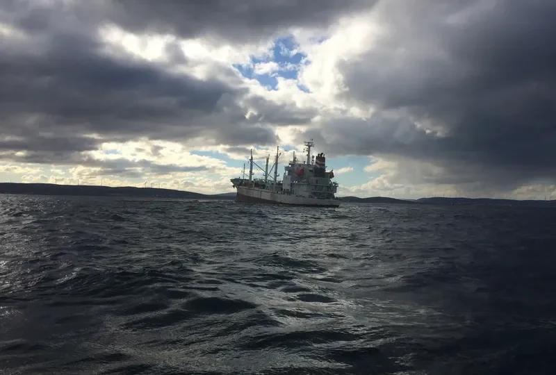 LADY TUNA General Cargo IMO 9453418 photo 9