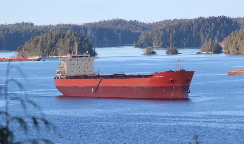 PAN VIVA Bulk Carrier IMO 9453494