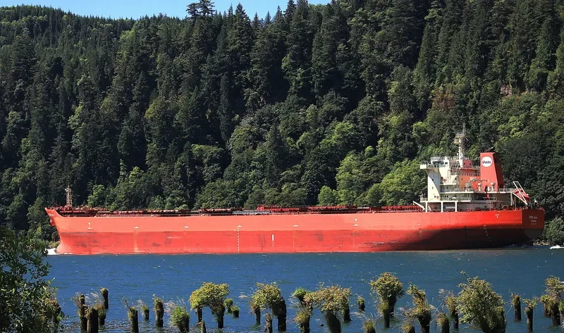 PAN VIVA Bulk Carrier IMO 9453494 photo 4