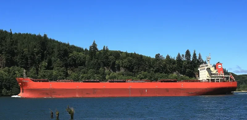 PAN VIVA Bulk Carrier IMO 9453494 photo 6