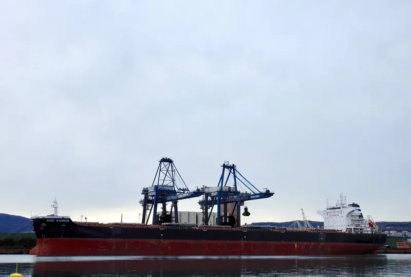 DORIC WARRIOR Bulk Carrier IMO 9453511 photo 3