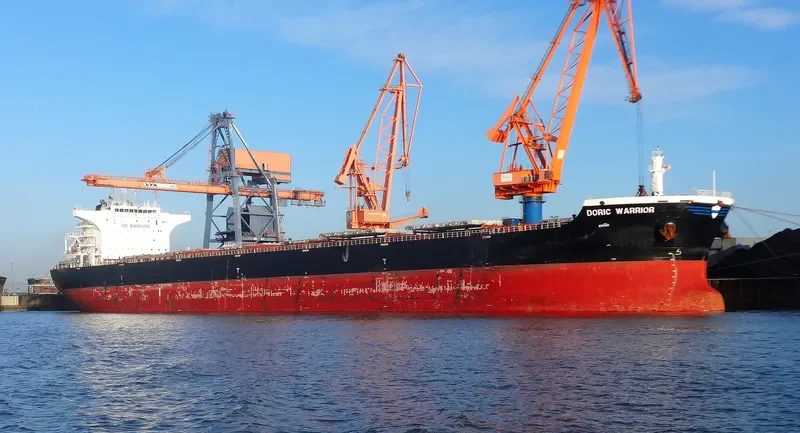DORIC WARRIOR Bulk Carrier IMO 9453511 photo 6