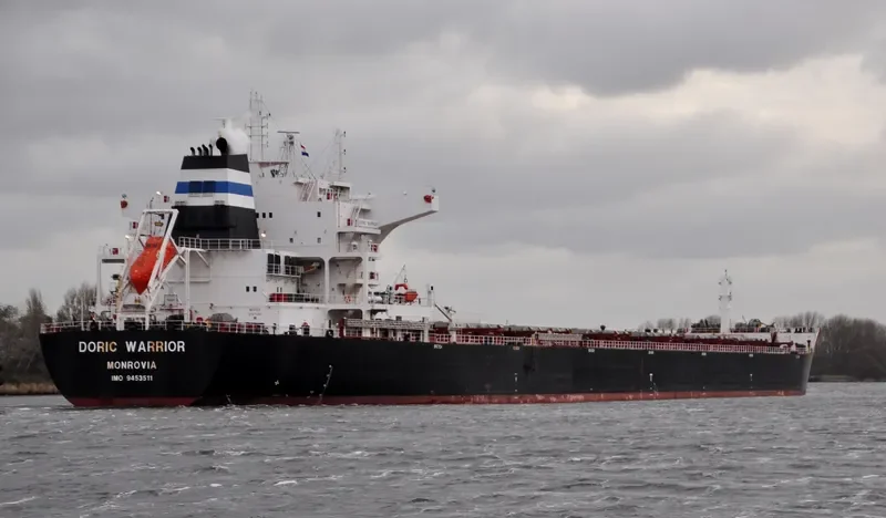 DORIC WARRIOR Bulk Carrier IMO 9453511 photo 7