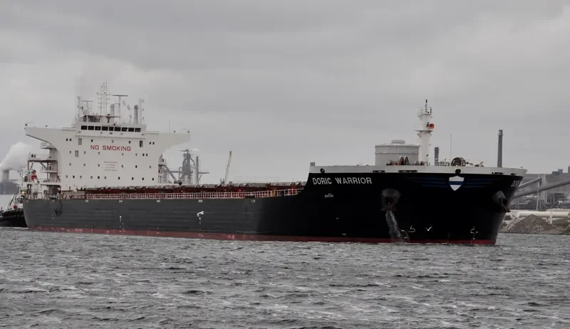 DORIC WARRIOR Bulk Carrier IMO 9453511 photo 9