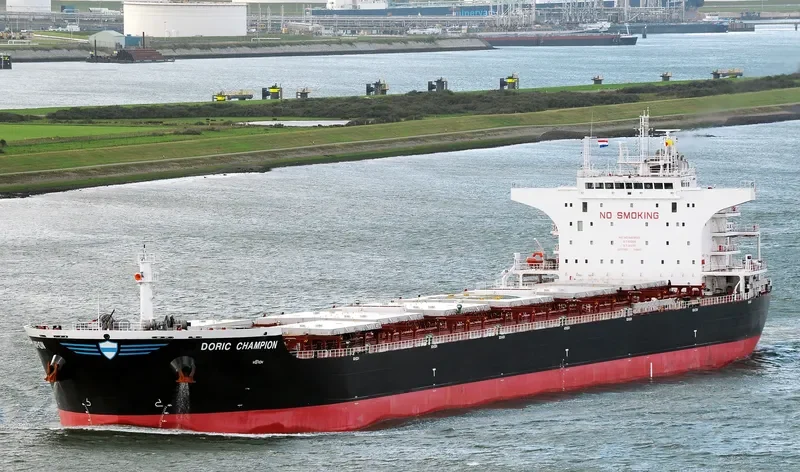 SARONIC CHAMPION Bulk Carrier IMO 9453523 photo 3