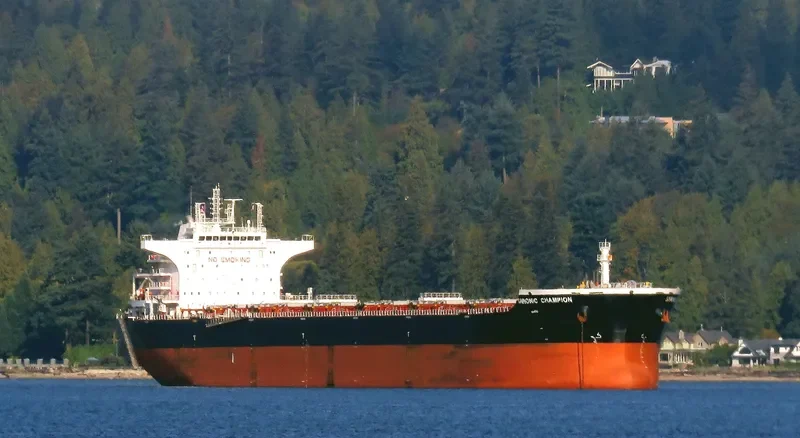 SARONIC CHAMPION Bulk Carrier IMO 9453523 photo 8