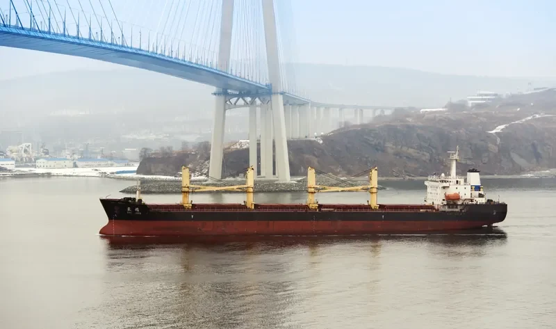 CHANG FENG 98 Bulk Carrier IMO 9453561