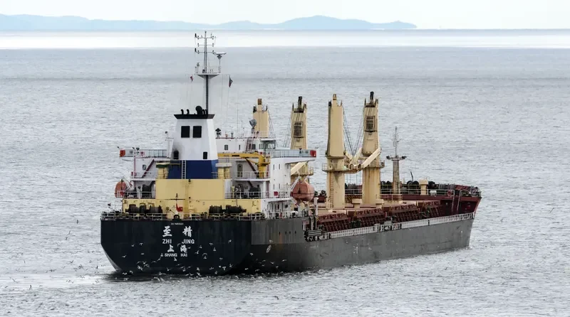 CHANG FENG 98 Bulk Carrier IMO 9453561 photo 5