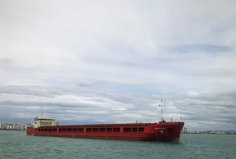 MEROVING General Cargo IMO 9453614 photo 5