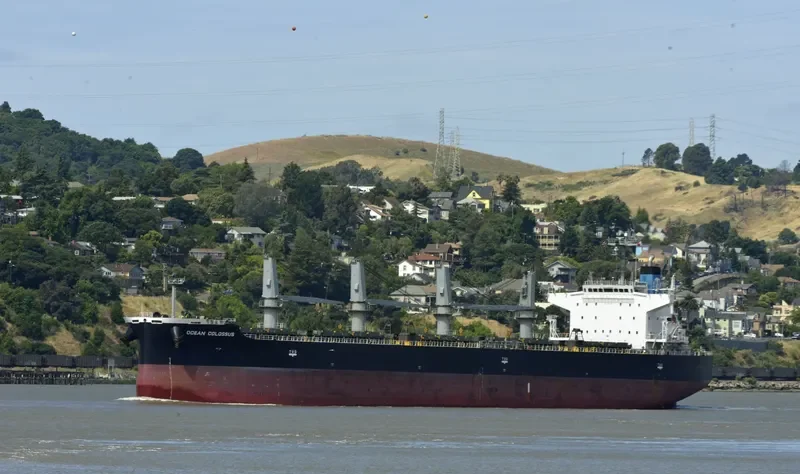 AKOUR II Bulk Carrier IMO 9454084 photo 7