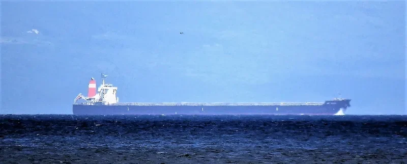 AM GIJON Bulk Carrier IMO 9454151
