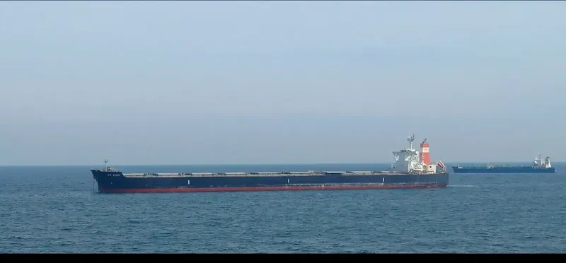AM GIJON Bulk Carrier IMO 9454151 photo 2