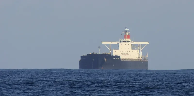 AM GIJON Bulk Carrier IMO 9454151 photo 3