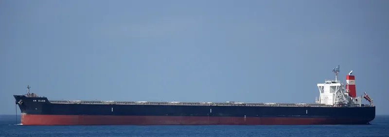 AM GIJON Bulk Carrier IMO 9454151 photo 5