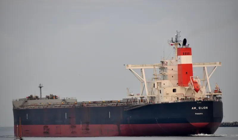 AM GIJON Bulk Carrier IMO 9454151 photo 7