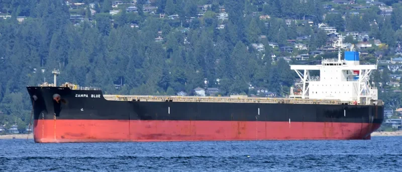 ZAMPA BLUE Bulk Carrier IMO 9454163 photo 6