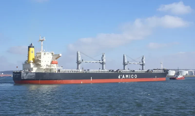 MEDI PAESTUM Bulk Carrier IMO 9454175 photo 7