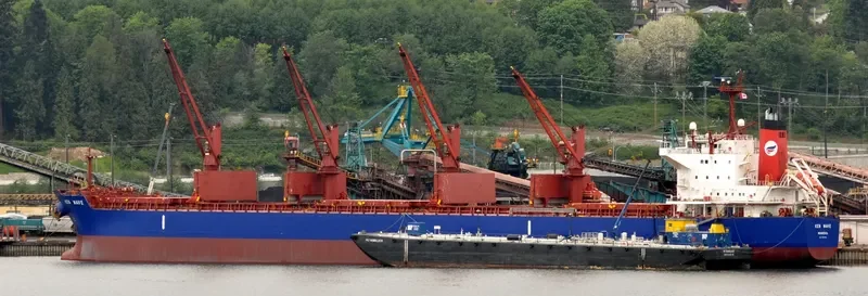 KEN WAVE Bulk Carrier IMO 9454204 photo 2