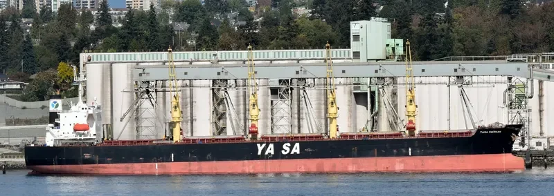 YASA EMIRHAN Bulk Carrier IMO 9454503 photo 7