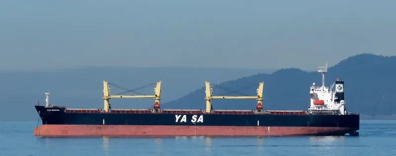 YASA EMIRHAN Bulk Carrier IMO 9454503 photo 8