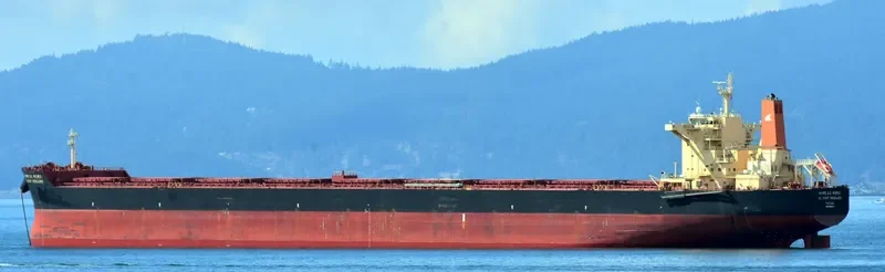 HL PORT HEDLAND Bulk Carrier IMO 9454527 photo 7