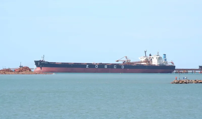 ESL WHALE Bulk Carrier IMO 9454577 photo 4