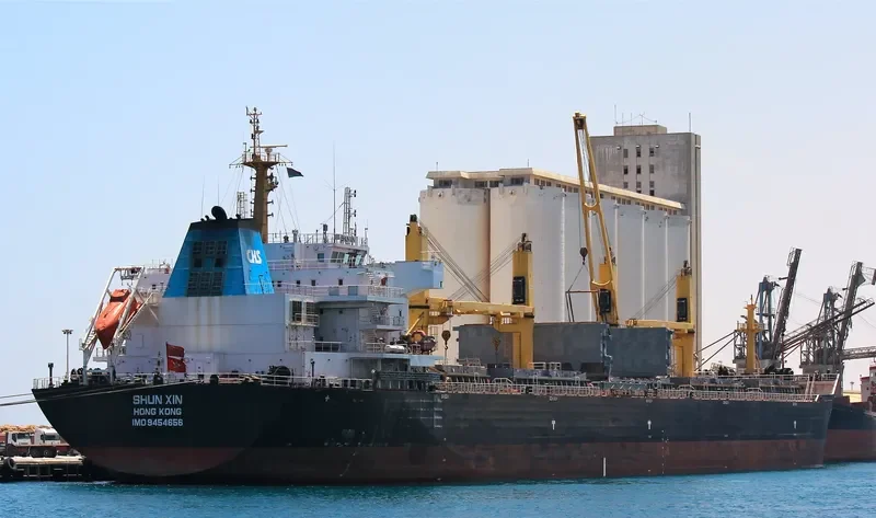 SHUN XIN Bulk Carrier IMO 9454656 photo 7