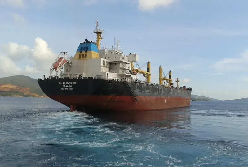 QU SHAN HAI Bulk Carrier IMO 9454668 photo 6
