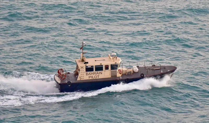 BAHRAIN PILOT 1 General Cargo IMO 9455088