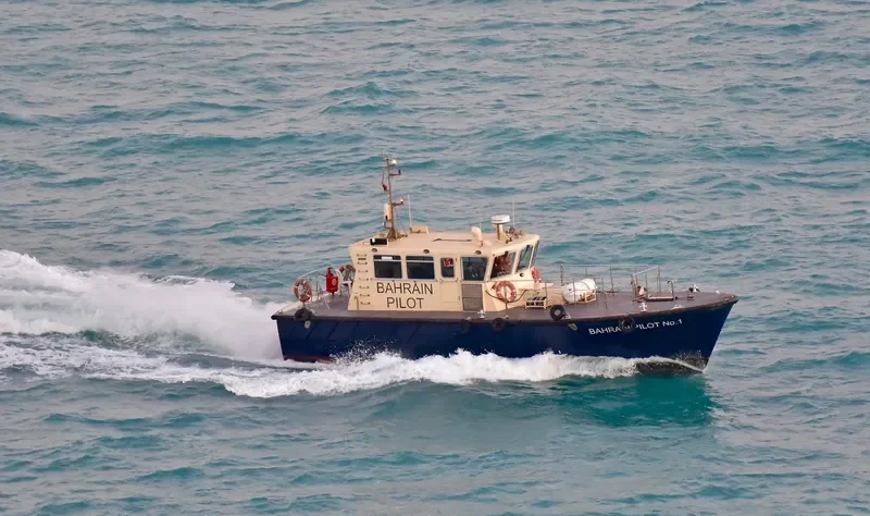 BAHRAIN PILOT 1 General Cargo IMO 9455088 photo 2