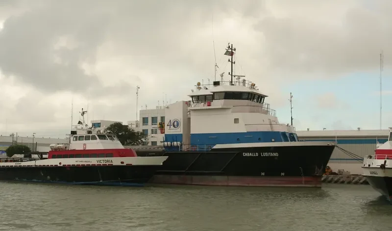 CABALLO LUSITANO Offshore Vessel IMO 9455284