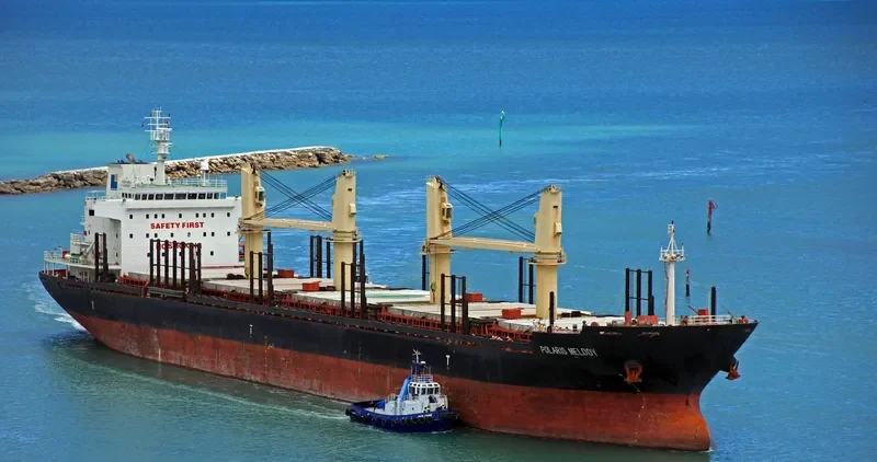 VIET THUAN 35 01 Bulk Carrier IMO 9455387 photo 2