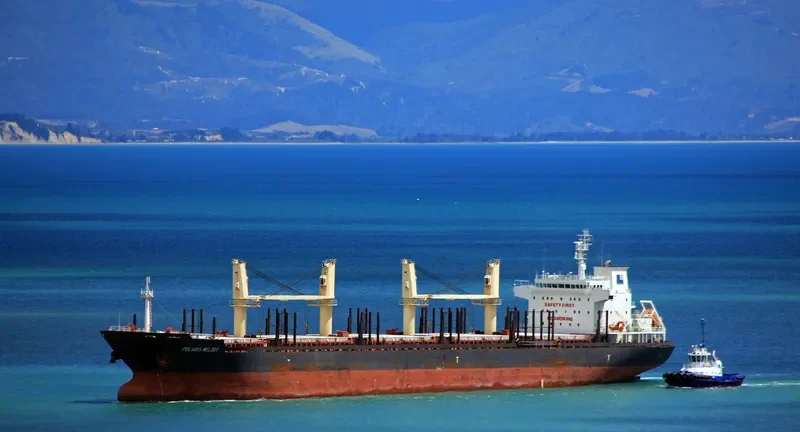 VIET THUAN 35 01 Bulk Carrier IMO 9455387 photo 5