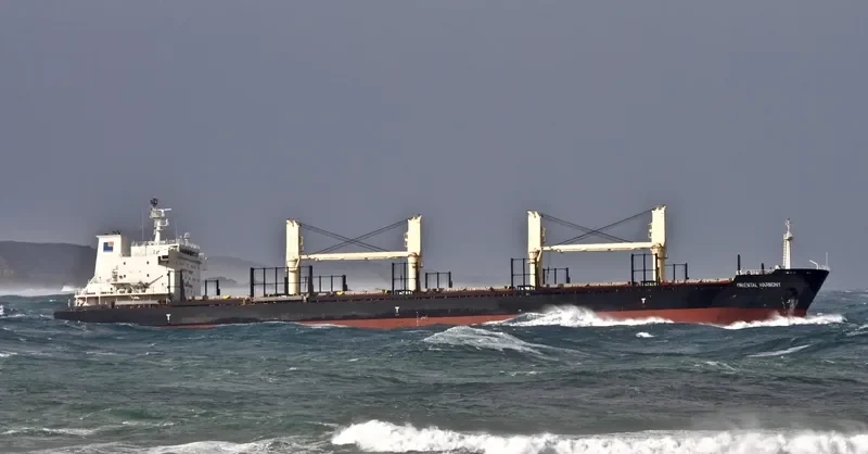 TBC KAILASH Bulk Carrier IMO 9455399 photo 6