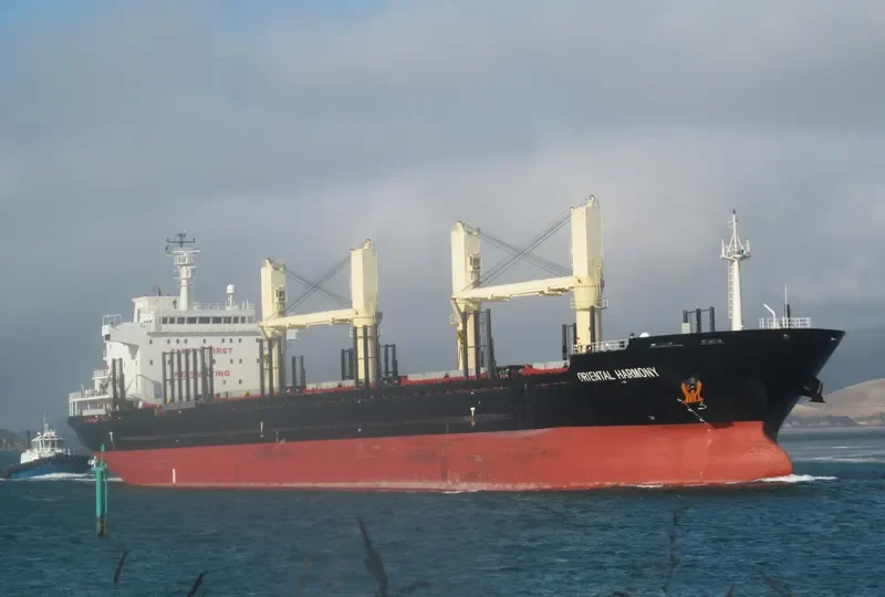 TBC KAILASH Bulk Carrier IMO 9455399 photo 8