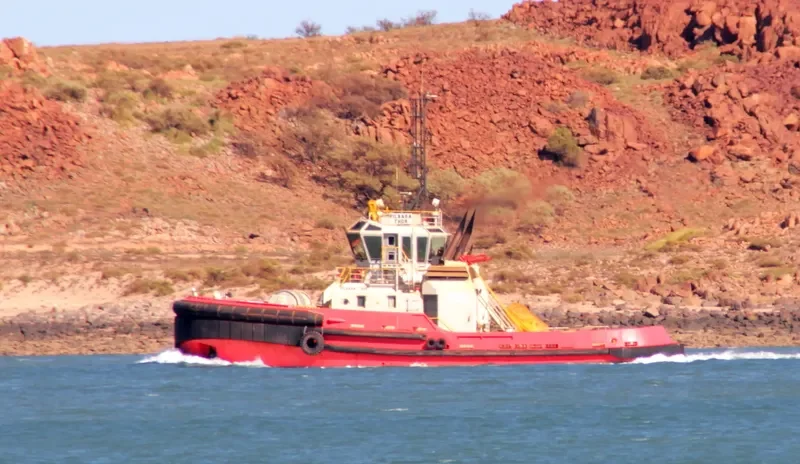 PILBARA THOR General Cargo IMO 9455612 photo 2