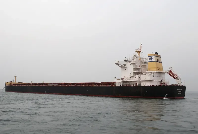 PANAYIOTA K Bulk Carrier IMO 9455856 photo 9
