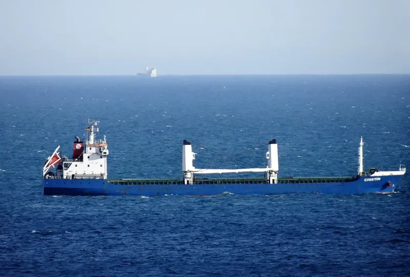 CRISTIN Bulk Carrier IMO 9455985 photo 4