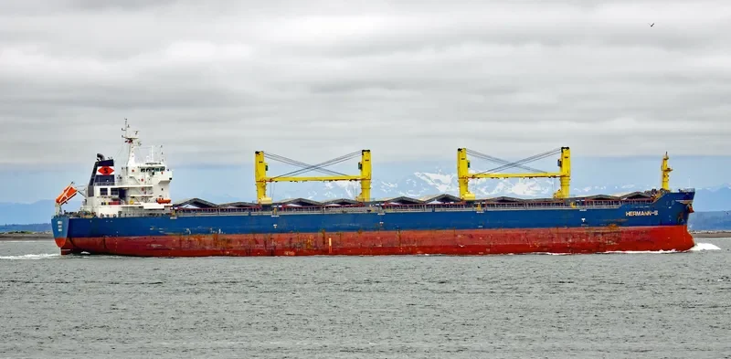 CHEVAL BLANC Bulk Carrier IMO 9456123