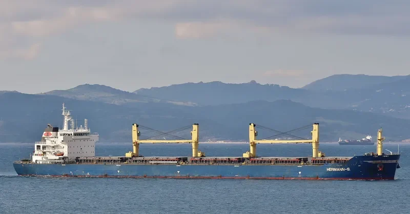 CHEVAL BLANC Bulk Carrier IMO 9456123 photo 5