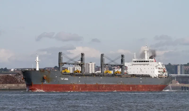 TAURUS HONOR Bulk Carrier IMO 9456135 photo 2