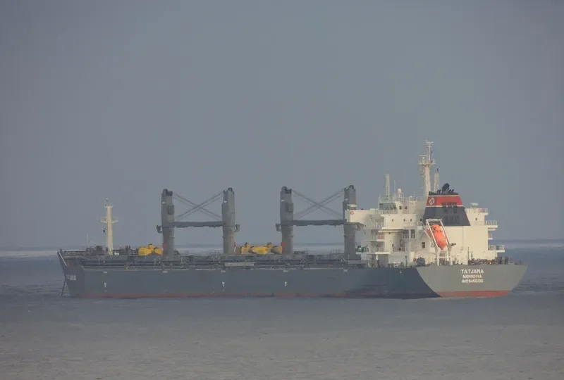 TAURUS HONOR Bulk Carrier IMO 9456135 photo 8