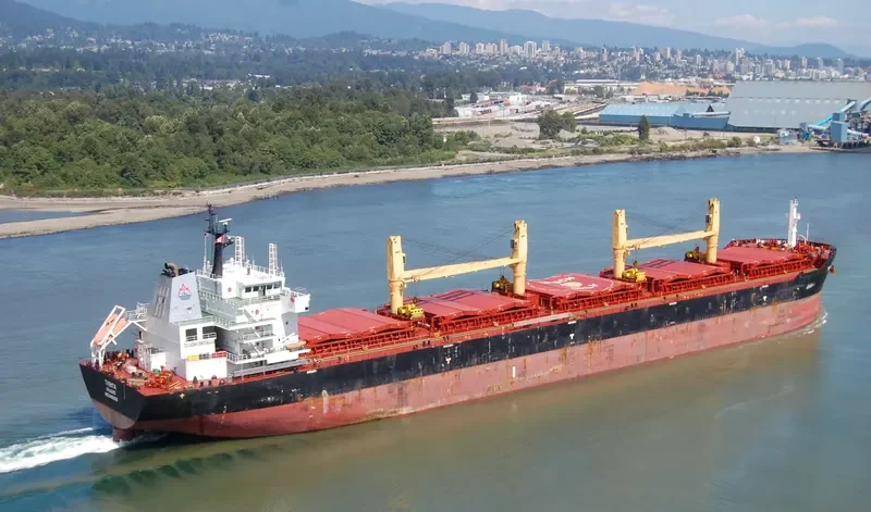 TRENTA Bulk Carrier IMO 9456159 photo 14