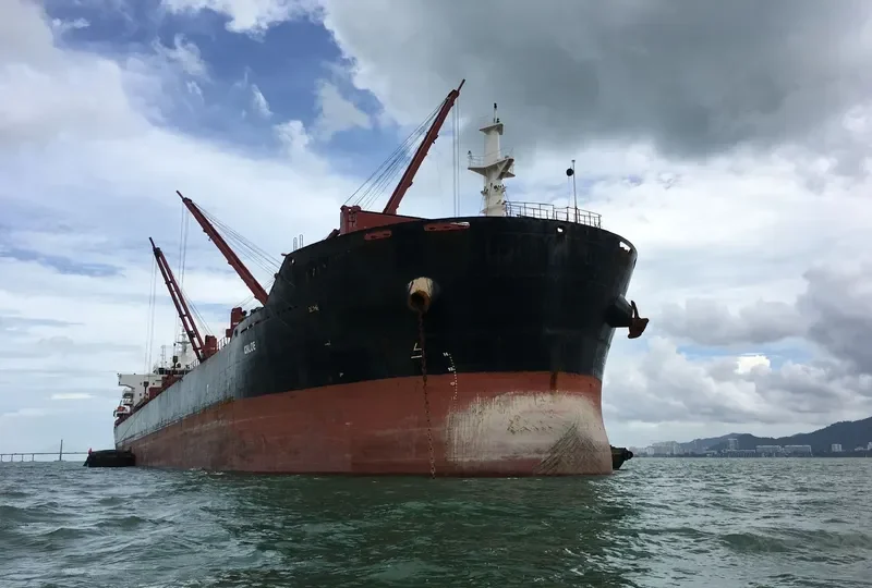 CHLOE Bulk Carrier IMO 9456173