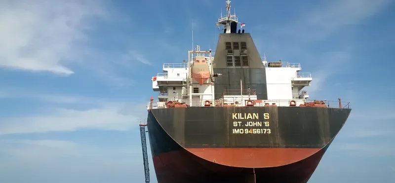 CHLOE Bulk Carrier IMO 9456173 photo 5