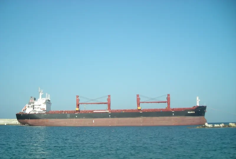 CHLOE Bulk Carrier IMO 9456173 photo 8
